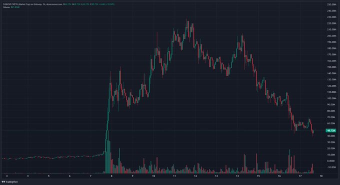 The screenshot displays a bearish chart for $CASHCAT/WETH, showing its market cap declining sharply from a peak of over $200M to under $50M, reflecting the user's dire financial situation.