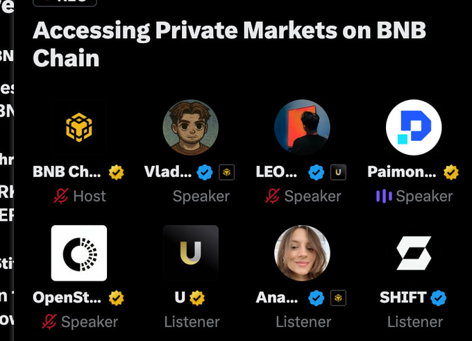 A cropped screenshot of a video call titled “Accessing Private Markets on BNB Chain,” showing participants labeled “BNB Ch...,” “Vlad...,” “LEO...,” “Paimon...,” “OpenSt...,” “U,” “Ana...,” and “SHIFT.”