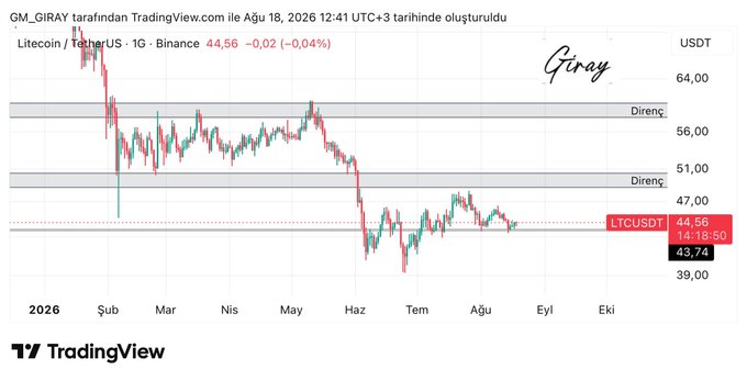 A daily Litecoin/US Dollar (LTCUSDT) chart on Binance shows the price trading at 44.56 USDT, currently bouncing off the 43.74 support area toward potential resistance zones at 51.00 and 56.00 USDT (Direnç). The chart, created on TradingView on August 18, 2026, visually supports the post's analysis of a potential bounce from the intermediate support zone.