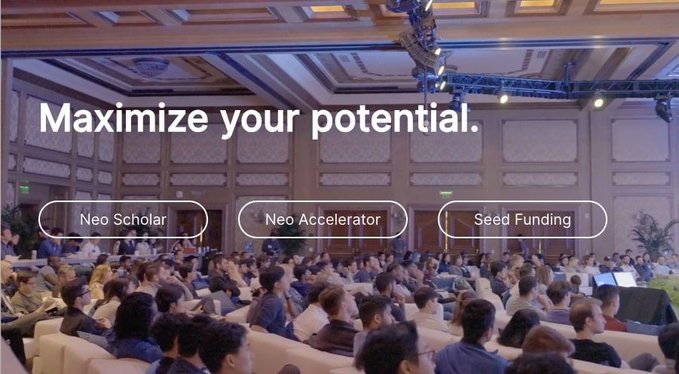 The image shows a packed conference hall with an audience facing a stage, overlaid with the headline "Maximize your potential." and three program offerings: "Neo Scholar," "Neo Accelerator," and "Seed Funding." It visually reinforces Neo's promotional post by depicting the large, engaged founder community their $600K accelerator program is designed to support.