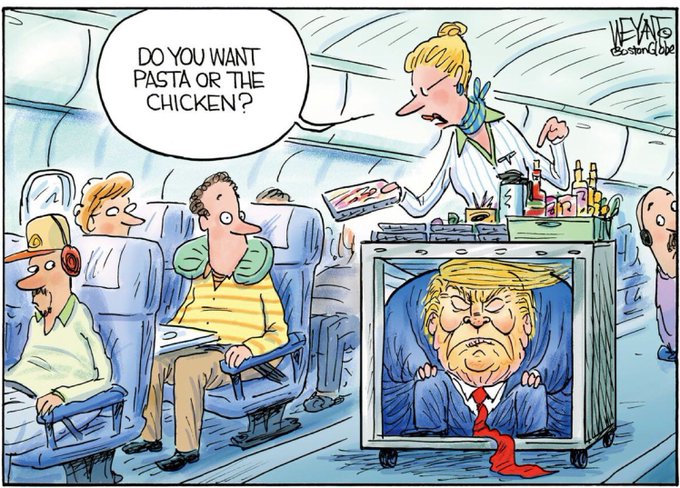 A flight attendant asks passengers if they want pasta or chicken, while Donald Trump is depicted in a crate labeled "Chicken" as part of the in-flight meal service. The image humorously relates to the post by directly showing the "chicken" meal being served.
