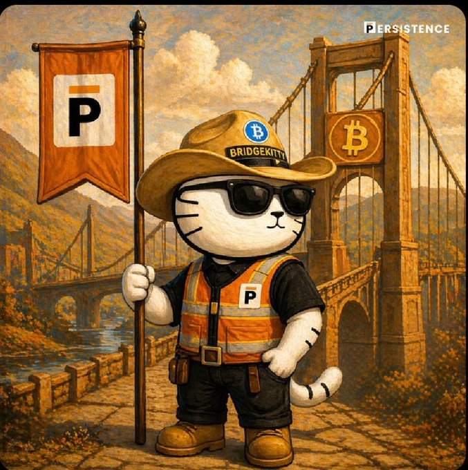 The image features a cartoon cat wearing sunglasses, a hat, and an orange vest with the word "P" written on it. The cat is holding a flag that has the letters "P" and "R" printed on it. In the background, there are two bridges visible - one made of stone and another made of wood.