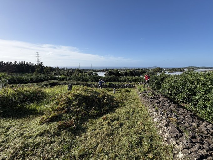 A landscape photo of a grassy, rocky coastal area with a few people walking among green bushes under a blue sky, with the ocean visible in the background.