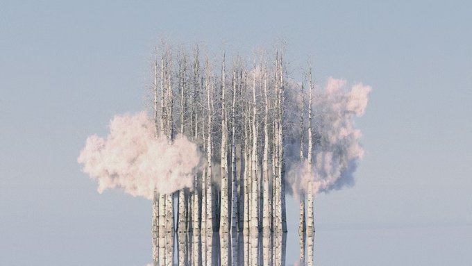 An artistic rendering of several tall, bare tree trunks against a light blue sky, with pink and gray clouds or smoke emerging from their sides.