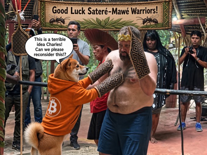 A meme image featuring a Shiba Inu dog wearing a Bitcoin orange hoodie asking "This is a terrible idea Charles! Can we please reconsider this?" to a man wearing Indigenous Sateré-Mawé warrior gloves, with a banner above reading "Good Luck Sateré-Mawé Warriors!".