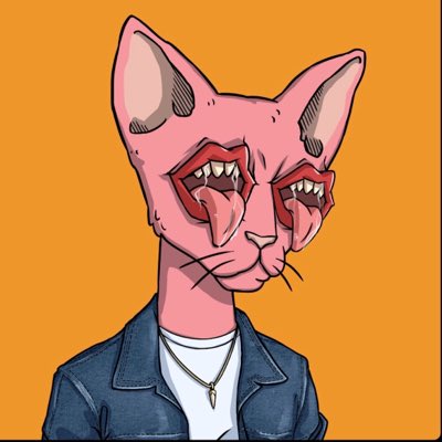 An illustration of a hairless pink Sphynx cat wearing red sunglasses, a denim jacket, a white shirt, and a pendant necklace against an orange background.