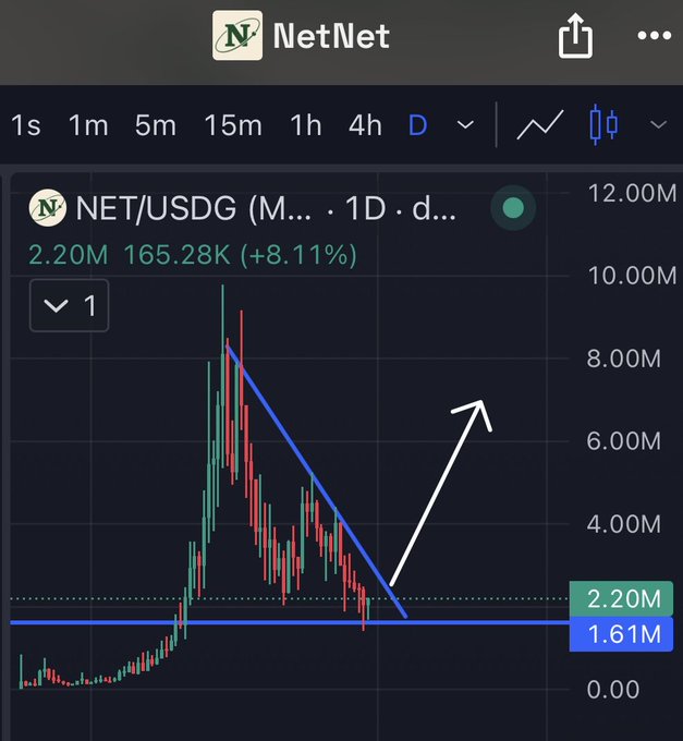 A trading chart screenshot from the NetNet app showing NET/USDG on a 1D timeframe, with a current price of 2.20M, up 8.11%, and a hand-drawn arrow indicating a bullish reversal from a descending trendline.