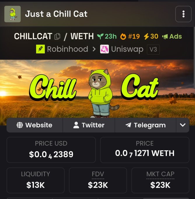 A cryptocurrency token page for 'Just a Chill Cat' (CHILLCAT/WETH) showing a price of $0.042389 USD and 0.071271 WETH, with a $13K liquidity and $23K market cap.