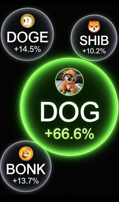 A glowing green circular graphic highlights "DOG +66.6%" at the center, featuring a Shiba Inu puppy in an orange hoodie, while smaller black circles in the background show "DOGE +14.5%", "SHIB +10.2%", and "BONK +13.7%" to visually emphasize DOG's dominance over the other dog-themed meme coins as described in the post.