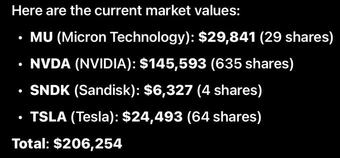 A list of stock market positions: MU ($29,841/29 shares), NVDA ($145,593/635 shares), SNDK ($6,327/4 shares), and TSLA ($24,493/64 shares), totaling $206,254.