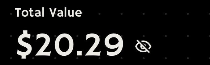 A dark digital dashboard displays a "Total Value" of "$20.29" with a crossed-out eye icon, suggesting hidden or blurred financial information.