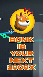 A cryptocurrency meme featuring a Shiba Inu dog wearing a crown with the text 'BONK IS YOUR NEXT 1000X' displayed in orange and white letters.