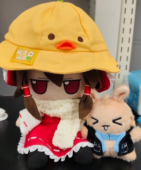 A plush doll wearing a yellow chick hat with 'HUA HUA' text sits next to a small furry animal plush toy wearing a jacket.
