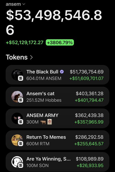 A screenshot of a portfolio tracker shows the ANSEM wallet with a total value of $53,498,546.86, featuring massive gains of +3806.79% across meme tokens like "The Black Bull" ($51.7M), "Ansem's cat" ($403K), and "ANSEM ARMY" ($362K). The image illustrates the post's warning about copycat meme tokens chasing the success of $ANSEM, highlighting how speculative investments can yield enormous returns—and likely massive losses for those trying to find "the next $ANSEM."