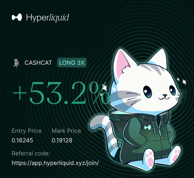 A promotional graphic for Hyperliquid featuring a cartoon white cat in a green hoodie, showing a +53.2% gain for CASHCAT LONG 3X with an entry price of 0.16245 and mark price of 0.19128.
