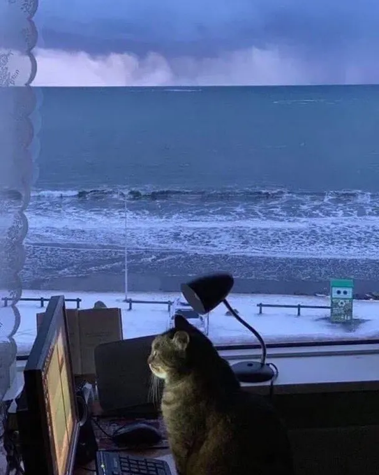 A tabby cat sits at a desk facing a window overlooking a choppy ocean and stormy sky.