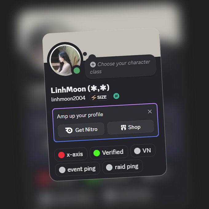 A screenshot of a Discord user profile for 'LinhMoon (*,*)' with the username 'linhmoon2004', displaying 'Verified', 'VN', 'event ping', and 'raid ping' status tags.