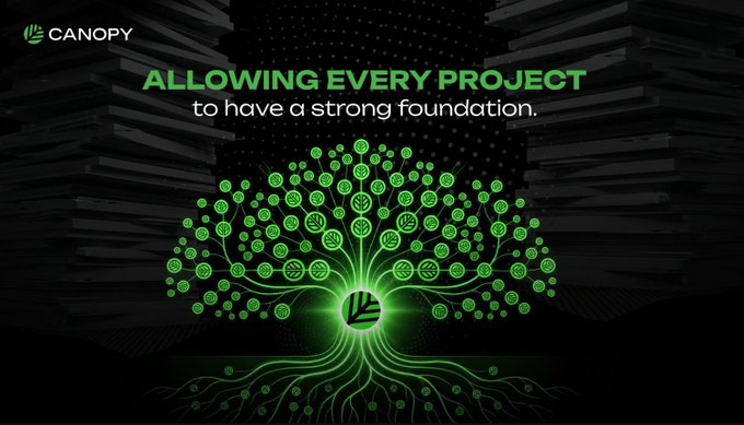 A dark-themed graphic for 'CANOPY' featuring a glowing green tree logo made of connected nodes, with the text 'ALLOWING EVERY PROJECT to have a strong foundation.'