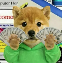 The image features a dog dressed in a green hoodie, holding up stacks of money as if they were dollar bills. The dog appears to be wearing a sweatshirt or sweater, giving it a unique and amusing appearance. The background includes a computer store with various items on display, which adds context to the scene. The caption for this image reads: "last clown that deployed this rugged a potential runner for fucking peanuts actually doing it this time we should run this Okay so everyone is trying to meme the spcx launch or say its going to crash the market but this is going to be the first IPO on pumpfun USDC with agent".