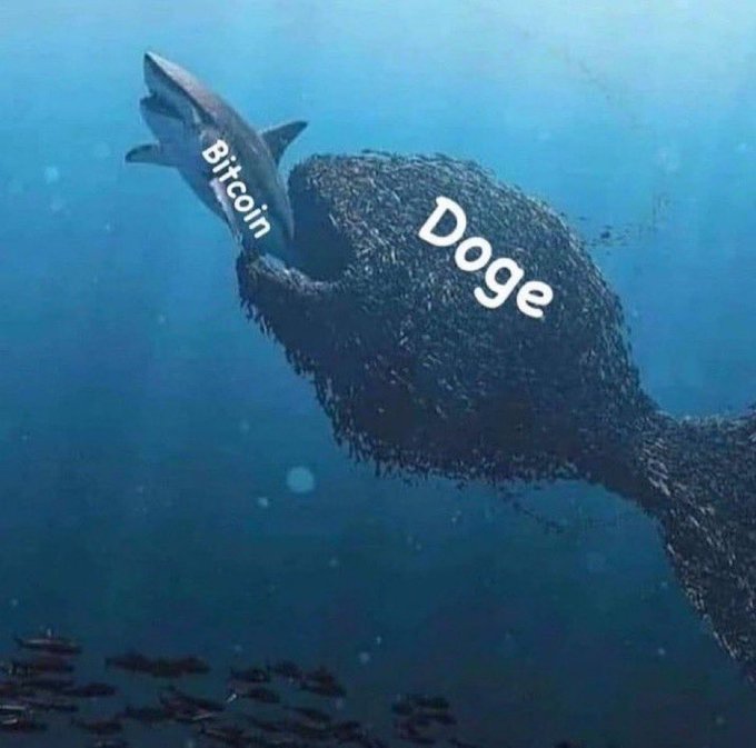 An underwater meme image showing a massive fish labeled 'Doge' about to swallow a smaller shark labeled 'Bitcoin'.