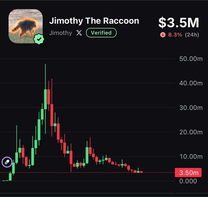 A trading chart for the 'Jimothy The Raccoon' meme coin showing a market cap of $3.5M with an 8.3% decline over 24 hours, displaying a volatile price pattern that peaked around 50 million.