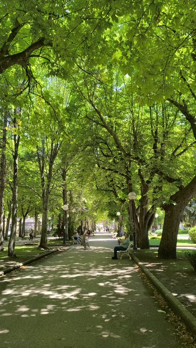 A peaceful park walkway lined with lush, leafy trees where a few people sit on benches enjoying the dappled sunlight, perfectly matching the relaxed, sunny vibe of "happy thursday frens."