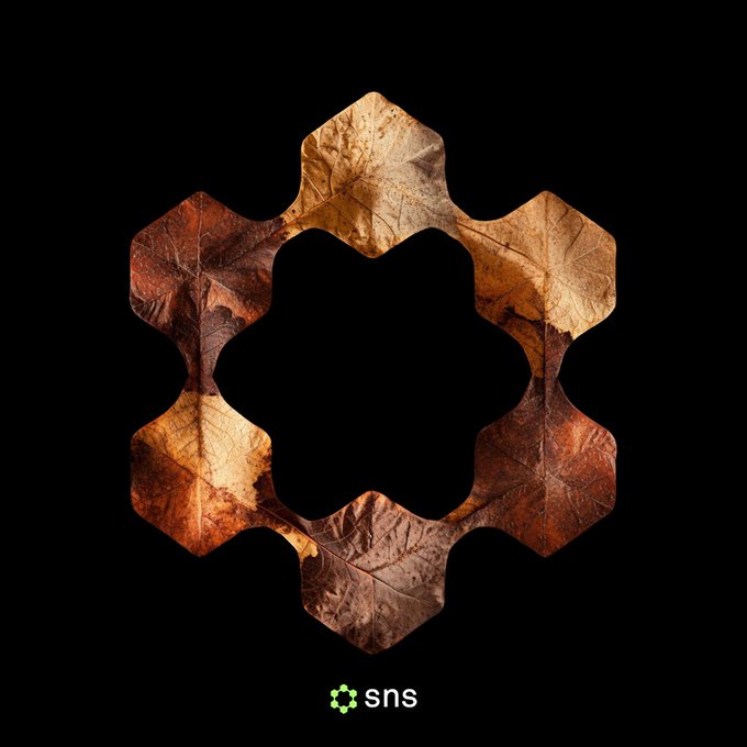 A stylized geometric logo made of autumn leaves arranged in a star-like pattern on a black background, with a green 'sns' logo below.