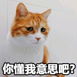 A meme image of an orange and white cat looking sideways with Chinese text at the bottom that translates to 'You know what I mean, right?'.