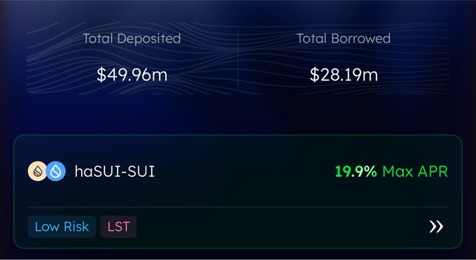 A financial dashboard showing 'Total Deposited $49.96m' and 'Total Borrowed $28.19m', featuring a haSUI-SUI pool tagged 'Low Risk' and 'LST' with a '19.9% Max APR'.