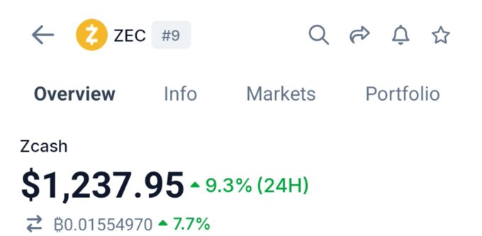 The screenshot displays a cryptocurrency overview page for Zcash (ZEC), showing its current price at $1,237.95 with a 9.3% gain over 24 hours and a 7.7% increase to a Bitcoin value of ₿0.01554970, confirming a significant upward movement in ZEC.
