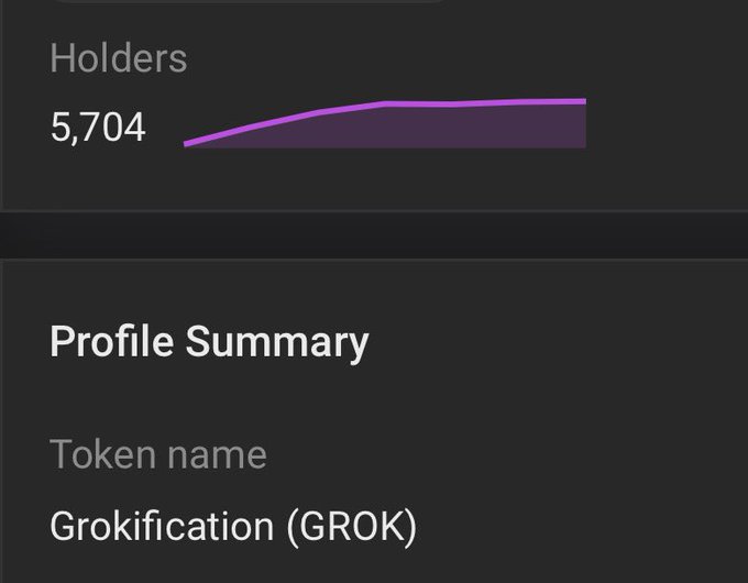 A screenshot showing 'Holders: 5,704' with a purple line graph and a 'Profile Summary' for token name 'Grokification (GROK)'.