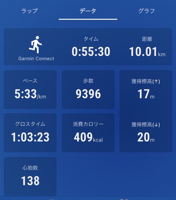 A blue-themed fitness data dashboard (likely Garmin Connect) displaying running metrics: 10.01 km distance, 55:30 time, 5:33/km pace, 9396 steps, 138 heart rate, and 409 kcal burned.