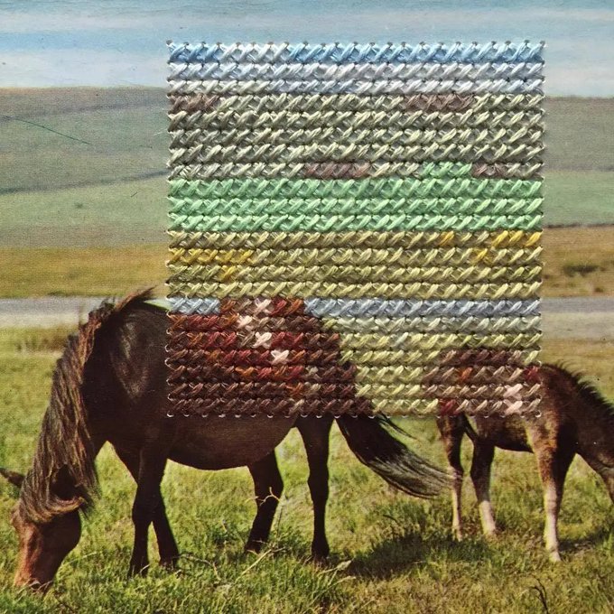 A pixelated, woven-looking square overlay obscures the bodies of two horses grazing in a green field with rolling hills in the background.