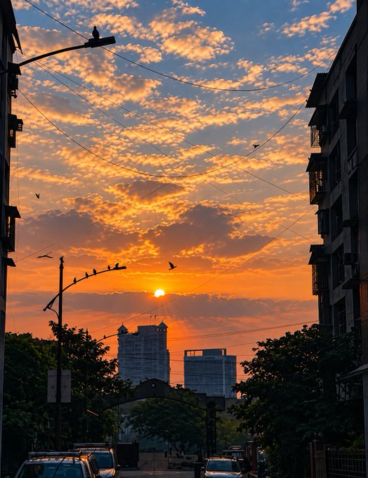 A vibrant sunset with orange and pink clouds illuminates a city street, where silhouettes of birds perch on wires and street lamps frame the view.