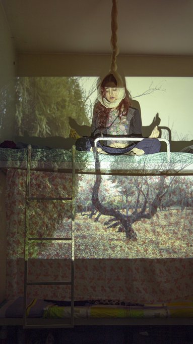 An artistic double-exposure image of a person sitting on a bunk bed ladder, overlaid with a nature scene featuring an olive tree.