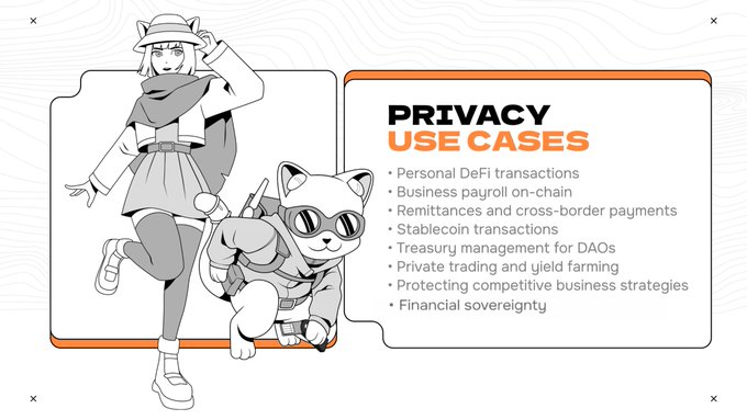 The image features a stylized illustration of a character in adventure gear with a cat companion, alongside a panel titled "PRIVACY USE CASES" listing applications like "Personal DeFi transactions," "Business payroll on-chain," "Remittances and cross-border payments," "Stablecoin transactions," "Treasury management for DAOs," "Private trading and yield farming," "Protecting competitive business strategies," and "Financial sovereignty." The graphic visually supports RAILGUN's message by illustrating the diverse, real-world utility of their privacy infrastructure.