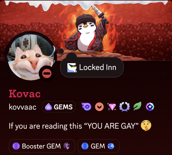 A social media profile for 'Kovac' (kovvaac) showing a penguin mascot with a sword, a cat avatar, and the bio text 'If you are reading this "YOU ARE GAY"'.