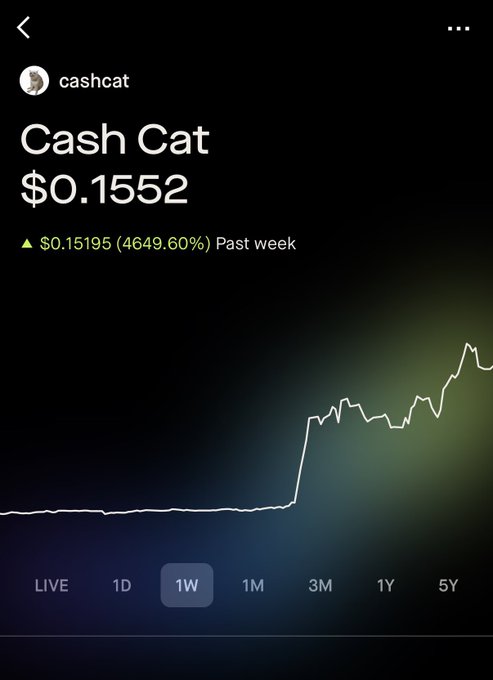 The image shows the cryptocurrency "Cash Cat" at $0.1552, with a dramatic 4649.60% increase over the past week, exemplifying the meme coin surge mentioned in the post's narrative. This rapid growth illustrates the "100X" potential of such coins.