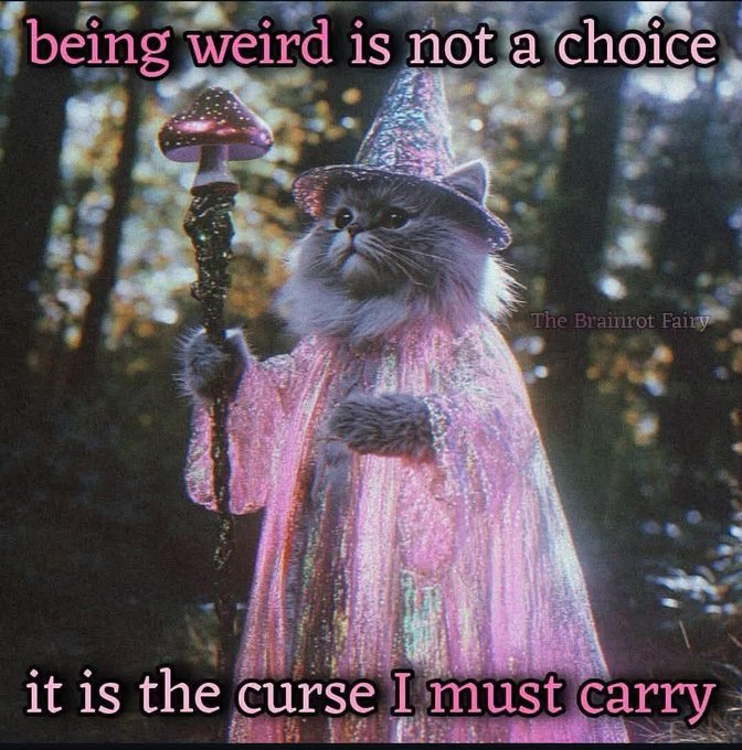 A meme image featuring a fluffy cat dressed as a wizard in a pink robe and glittery hat, holding a mushroom staff, with text reading 'being weird is not a choice' and 'it is the curse I must carry,' watermarked 'The Brainrot Fairy'.