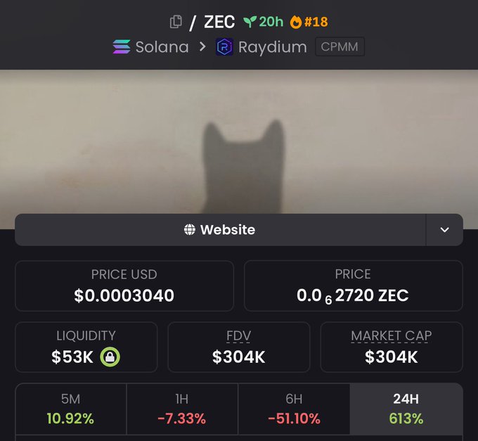 A cryptocurrency tracking page for 'ZEC' on the Solana network via Raydium, showing a price of $0.0003040, $53K liquidity, $304K market cap, and a cat silhouette as the token image.
