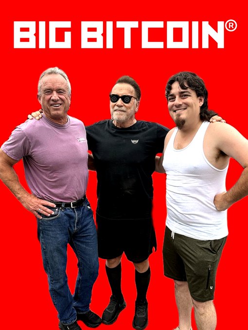 A satirical advertisement parodying the "Big Mouth" Billy Bass toy features cutout images of three men standing together against a red background with the "BIG BITCOIN" logo at the top.