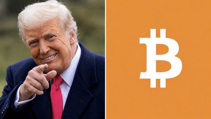 This image shows Donald Trump alongside the Bitcoin logo, visually representing the news that Trump Media $DJT has purchased 4,662 Bitcoin worth ~$300 million.
