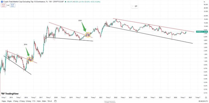 A TradingView chart titled 'Crypto Total Market Cap Excluding Top 10 Dominance, % - 1W - CRYPTOCAP' showing historical dominance trends with annotations marking 2016 and 2020 patterns.