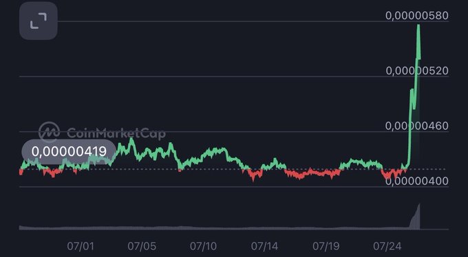 CoinMarketCap chart showing a cryptocurrency's price trending around 0.00000419 from 07/01 to 07/24, with a sharp vertical spike up to 0.00000580 at the end.