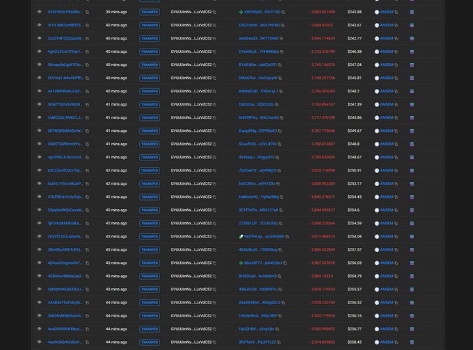 The image displays a transaction history log on Solscan showing multiple transfers from various wallet addresses (ending in numbers like 14121RL... and 9TsMoD...) to the address "@ANSSyM_...AN6X5M," with transaction amounts ranging from approximately $243.66 to $256.77 in cryptocurrency. These transactions support the post's claim of a $ANSEM token airdrop, where the user is documenting recent transfers valued between $243-$257 to wallets that left their SOL addresses, visually substantiating the promised $100-$300 random token giveaway.