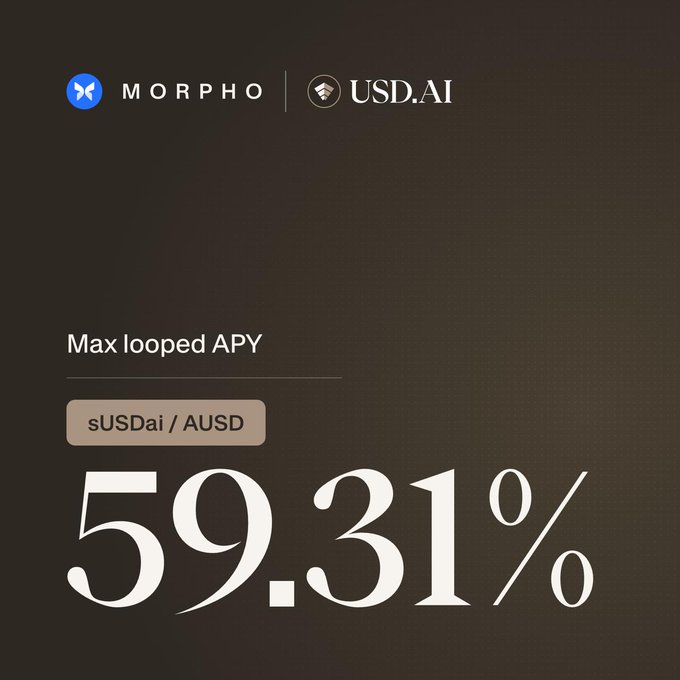 Promotional graphic for Morpho and USD.AI announcing a new sUSDai / AUSD borrow market, highlighting a "Max looped APY" of 59.31%.