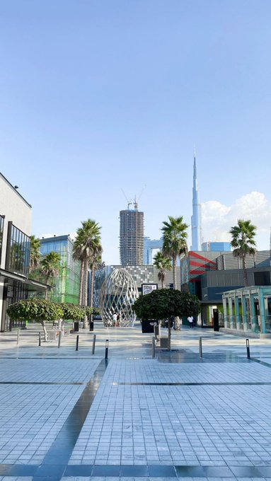 A sunlit plaza lined with palm trees offers a view of the Burj Khalifa towering in the distance against a clear blue sky.
