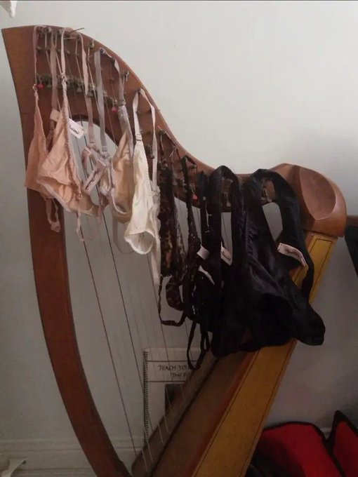 Several bras and lace lingerie items in pink, beige, and black hang draped over a wooden harp, which has a "TEACH YOURSELF" instruction book resting on the lower strings.