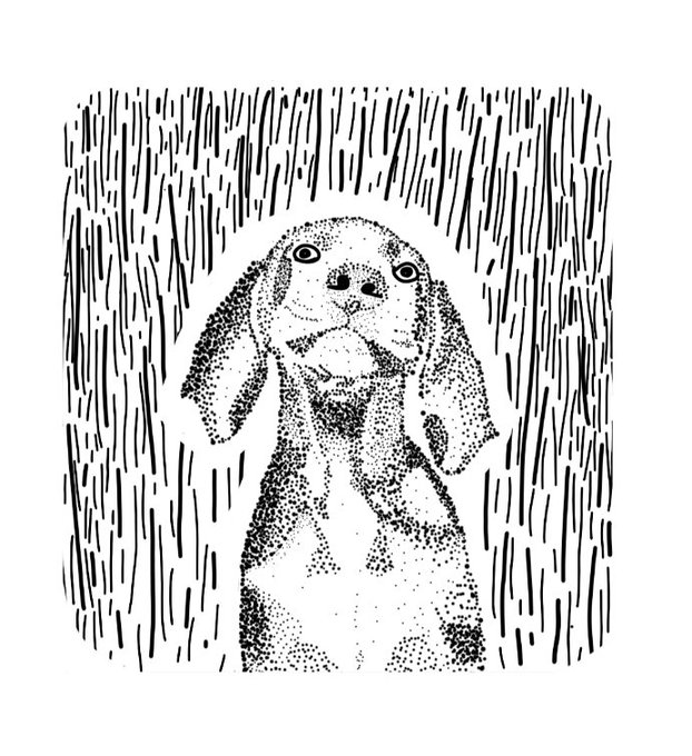A black-and-white stippled illustration shows a sad-looking dog with long floppy ears, surrounded by heavy rain lines.