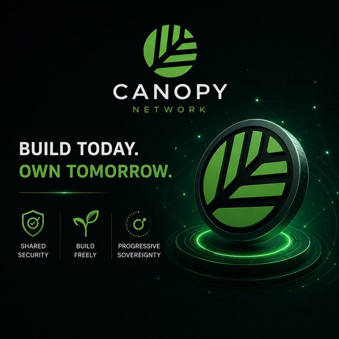 The image features a green circle logo for Canopy Network Project, which is a company that focuses on creating networks of smart devices. The logo is displayed against a black background with white text. Below the logo, there are three bullet points explaining the company's mission and values. One of these bullet points reads "Build today. Own tomorrow." This phrase emphasizes the importance of building and launching projects in a timely manner while still maintaining control over the project.